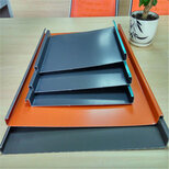 贵州铝镁锰板YX25-330 特性、应用与区域市场分析